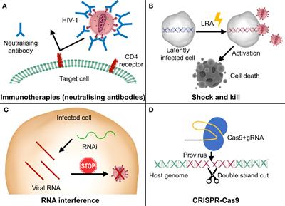How to break free: HIV-1 escapes from innovative therapeutic approaches